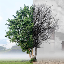 Airquality 1